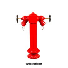Wet Barrel Pillar 2 Ways Fire Hydrant with Valves BS750