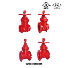 Resilient Wedge NRS Gate Valve, 200PSI