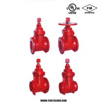 Resilient Wedge NRS Gate Valve, 300PSI