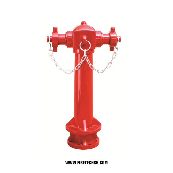 Wet Barrel Pillar 2 Ways Fire Hydrant with Adaptors BS750
